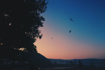 Low angle view of birds flying in sky