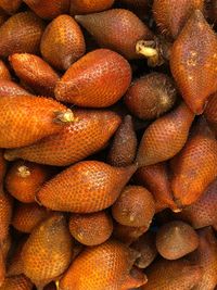 Full frame shot of snake fruits for sale at market