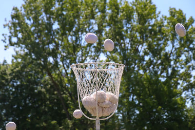 Low angle view of balls against trees