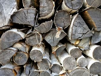 Full frame shot of logs in forest