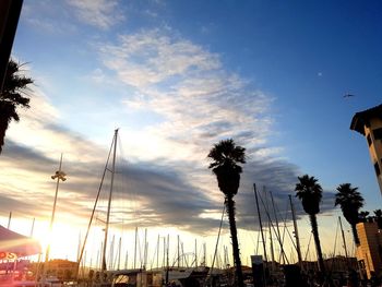 Low angle view of silhouette palm trees against sky