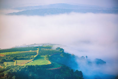 Aerial view of landscape against sky