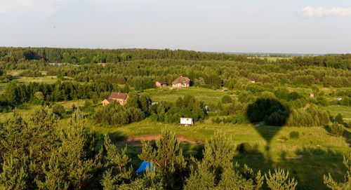 Scenic view of grassy field against sky