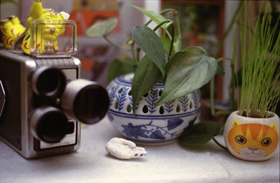 Close-up of artificial hand by antique movie camera and houseplants on table