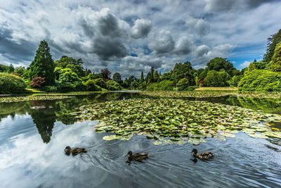 Scenic view of lake against cloudy sky