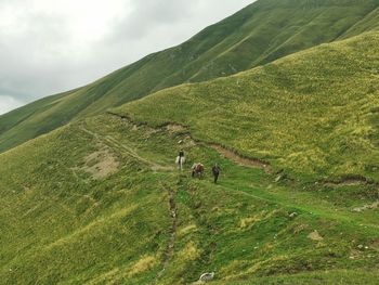 Scenic view of green landscape against sky