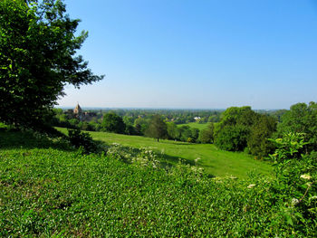 Scenic view of grassy field against blue sky