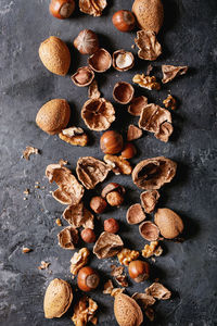 High angle view of shells on table