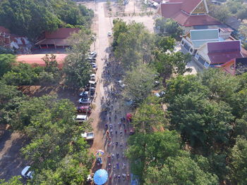 High angle view of trees and houses