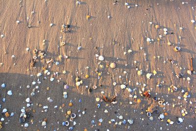 Full frame shot of pebbles