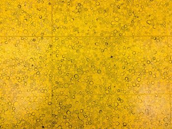 Full frame shot of yellow pattern floor