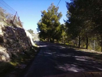 Road passing through forest