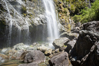 Scenic view of waterfall in forest