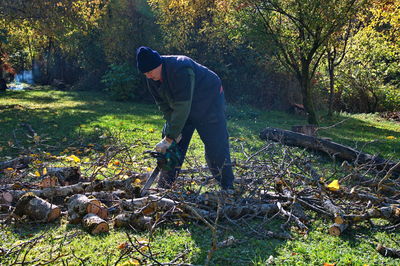 Arborist man cutting a branches with chainsaw