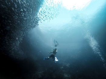 Low angle view of scuba divers amidst fish swimming in sea