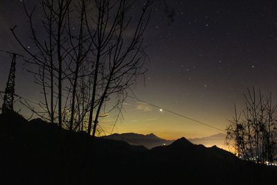 Silhouette of bare tree against sky at night