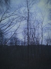 Low angle view of bare trees against sky