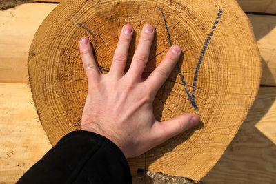 High angle view of person hand holding wood
