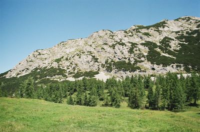 Scenic view of field against clear sky