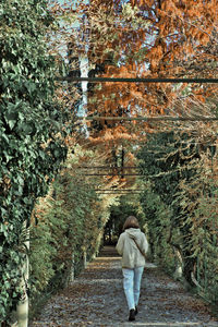 Rear view of woman walking on footpath amidst plants