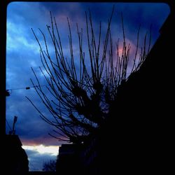 Low angle view of silhouette bare trees against sky at night