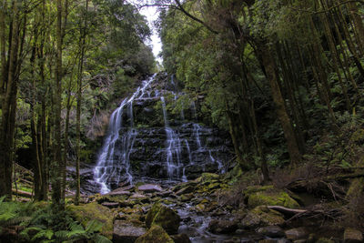 Waterfall in forest