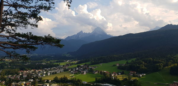 Panoramic shot of trees and buildings against sky