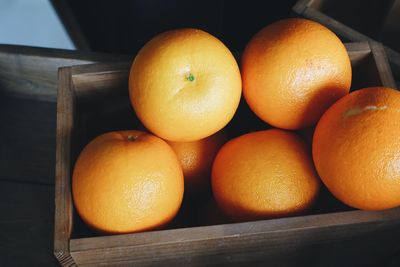 Close-up of food