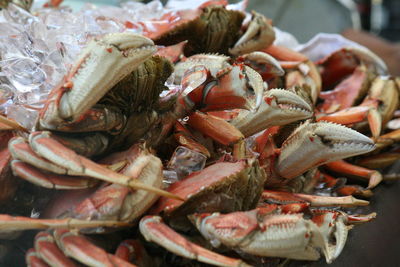 Close-up of crab in market