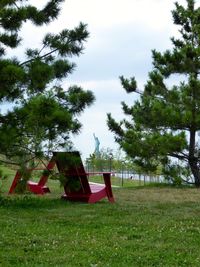 Empty swing on grassy field against trees in park