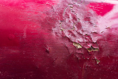 Full frame shot of pink wall