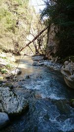 River flowing through rocks in forest