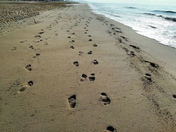 High angle view of footprints on sand at beach