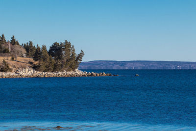 Scenic view of sea against clear blue sky