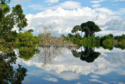 Reflection of trees in lake against sky