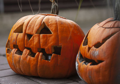 Close-up of pumpkins after halloween 