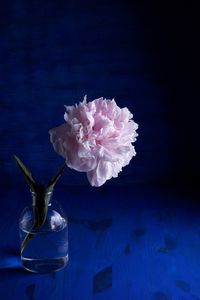 Close-up of flower vase on table