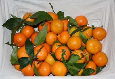 Close-up of fruits in plate