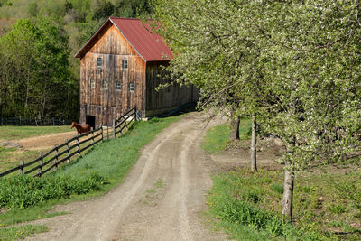 View of grassy field