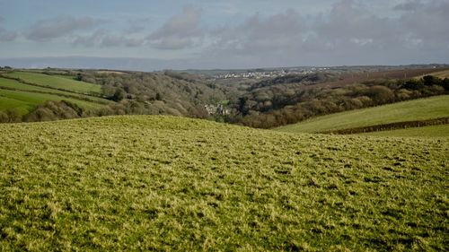 Scenic view of landscape against sky