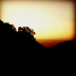 Silhouette trees against clear sky at sunset