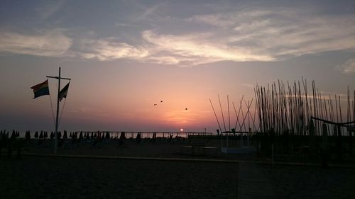 View of birds in sky at sunset