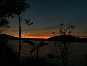 Silhouette trees by lake against sky during sunset