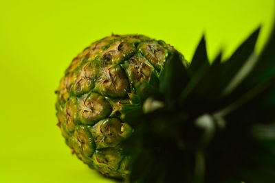 Close-up of pineapple against green background