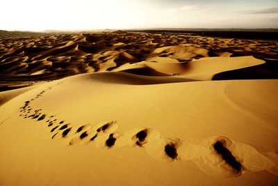 Footprints on sand dunes at erg chebbi desert