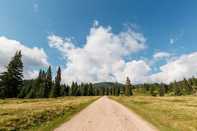 Road amidst trees against sky