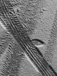 Full frame shot of cat