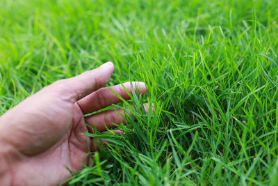 Cropped hand of person on grass