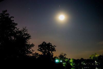 Low angle view of silhouette trees against sky at night