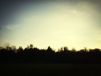 Silhouette of trees at sunset